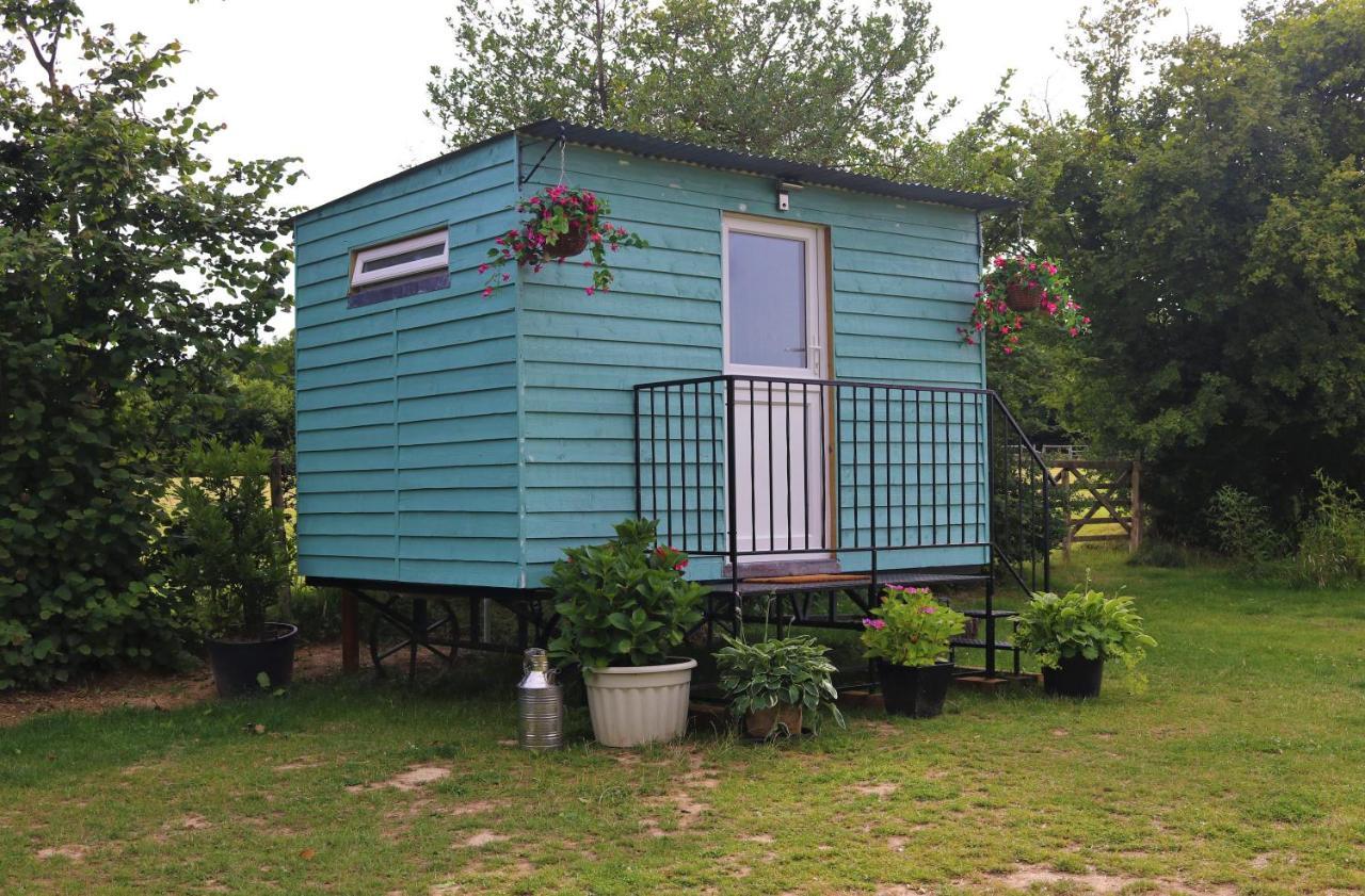 Hopgarden Glamping Luxury Shepherds Huts Wadhurst Extérieur photo