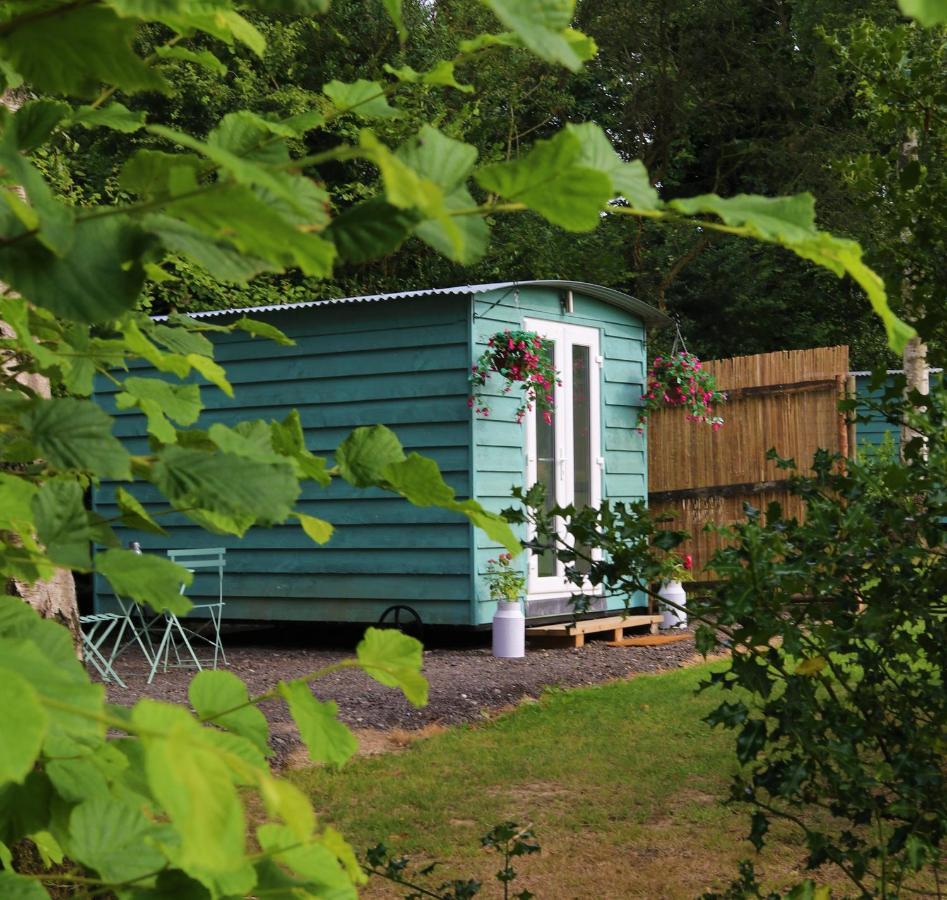 Hopgarden Glamping Luxury Shepherds Huts Wadhurst Extérieur photo