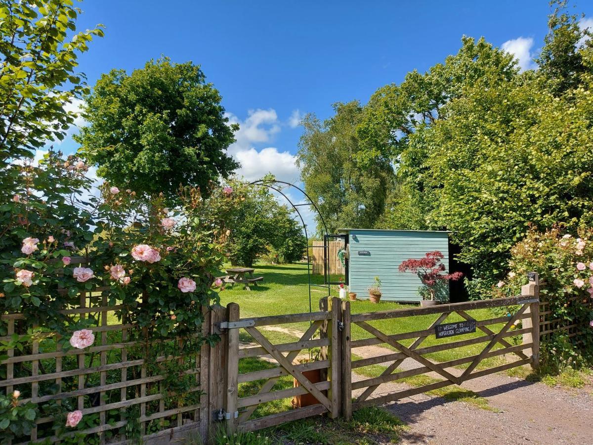 Hopgarden Glamping Luxury Shepherds Huts Wadhurst Extérieur photo